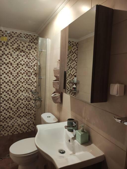 Politis' Wooden House Apartment วาซีลีกี ภายนอก รูปภาพ